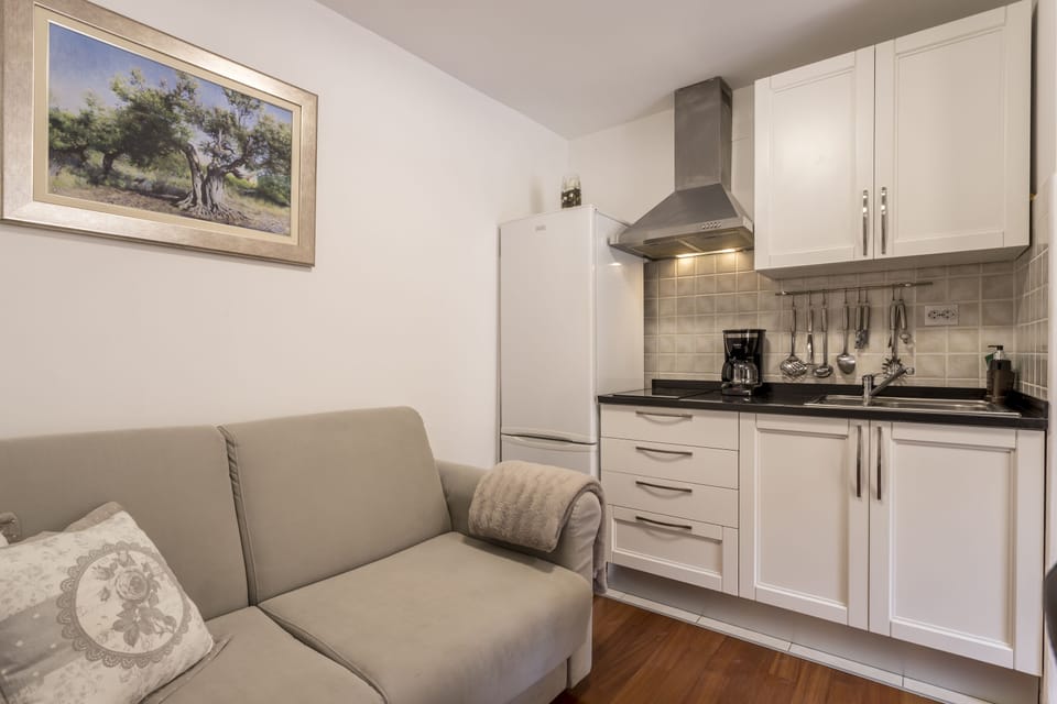 Living area with sofa bed for two guests.