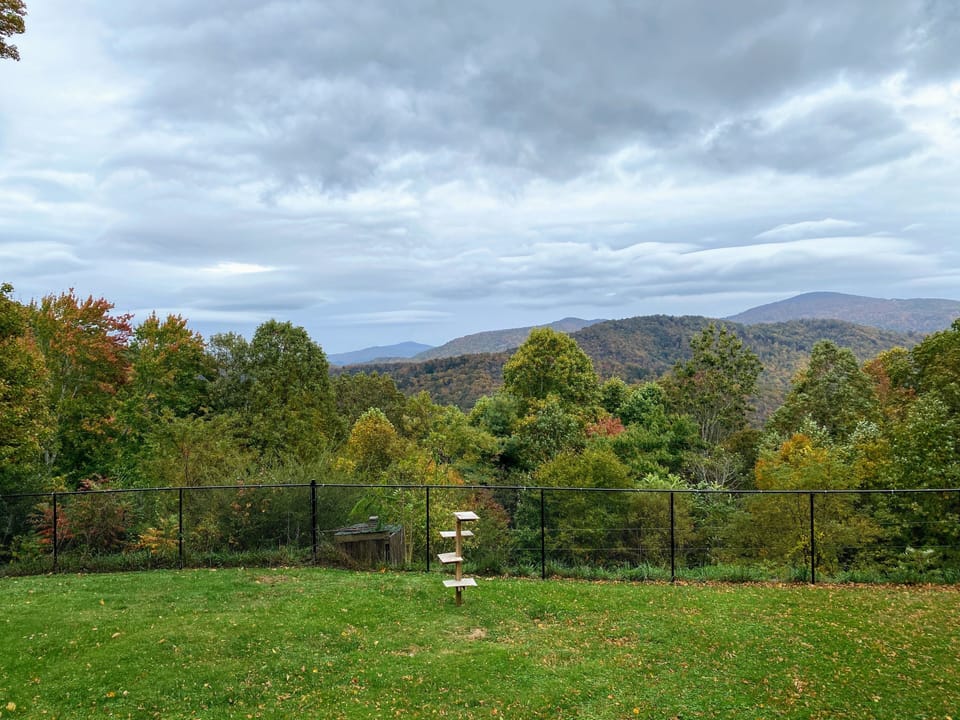 View from property