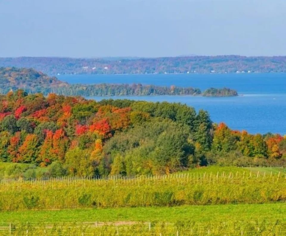 Colors starting to turn.
