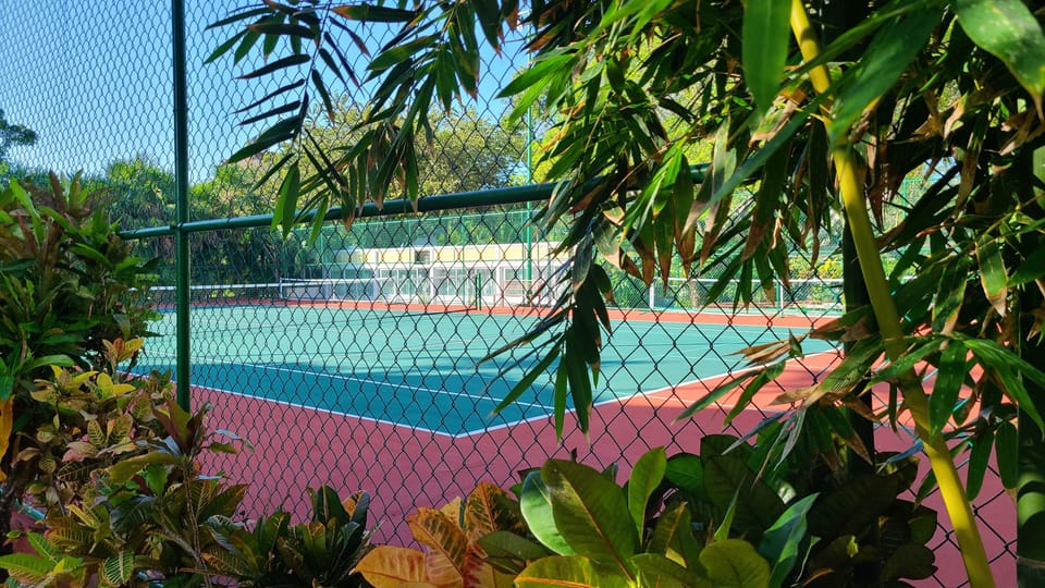 Sport court