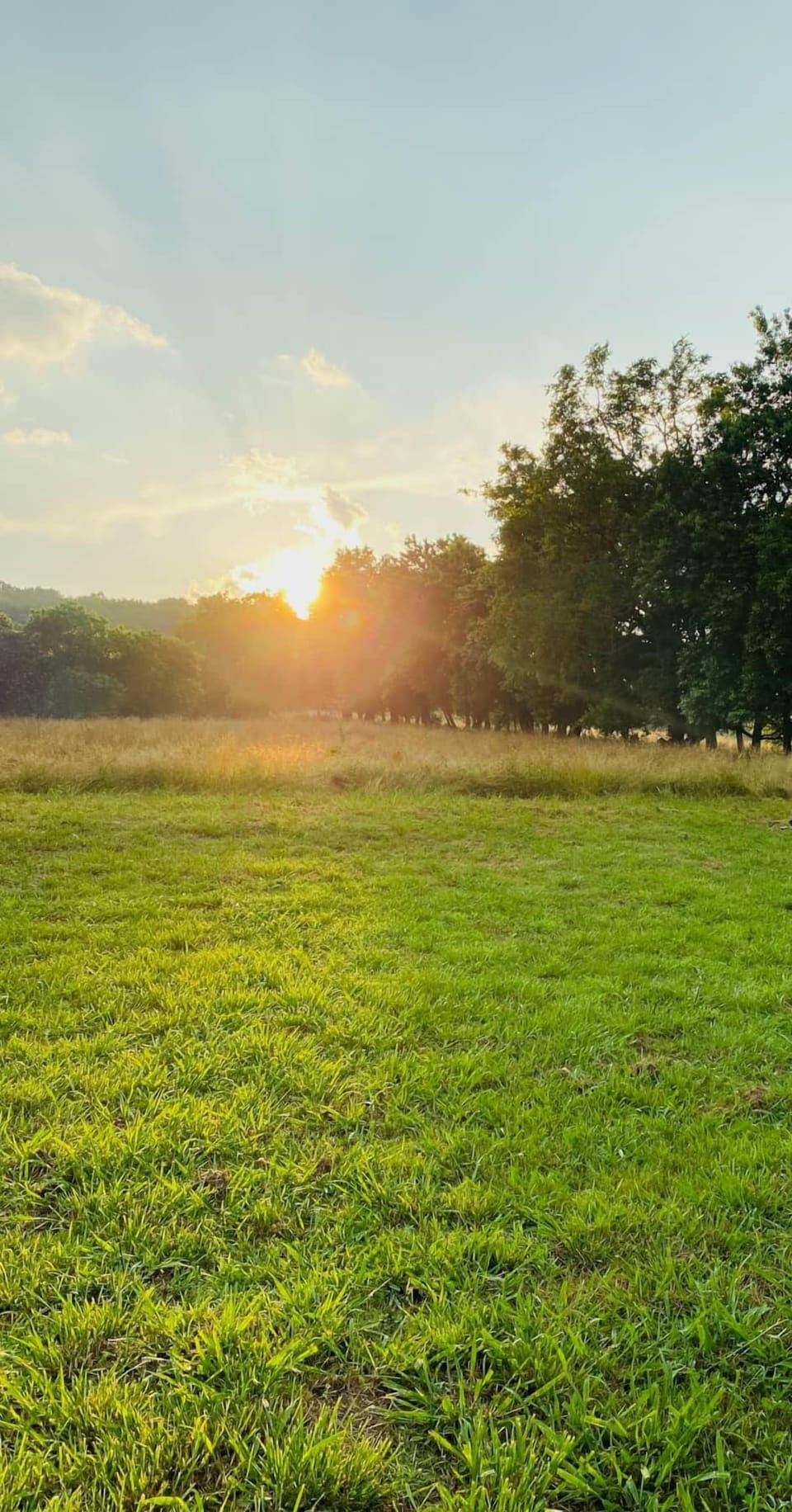 Enjoy the view from the sunroom or go for a walk.