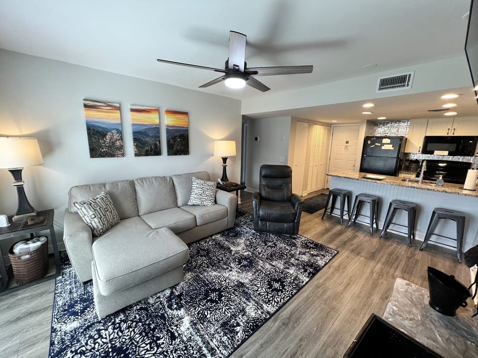 Living room / kitchen