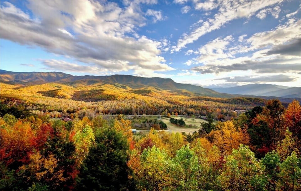 View from the balcony in the fall