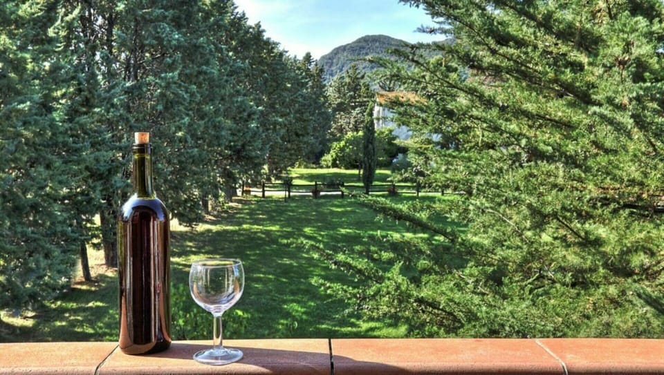 Tableware, Plant, Table, Drinkware, Sky, Nature, Mountain, Leaf, Stemware, Tree