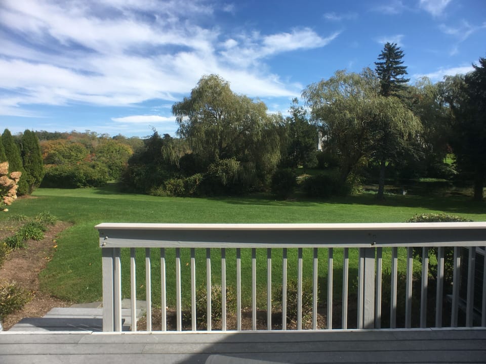 View from Deck