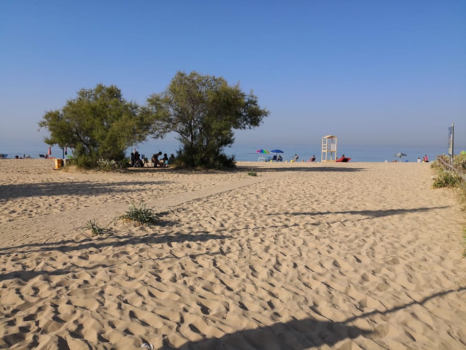 Beach