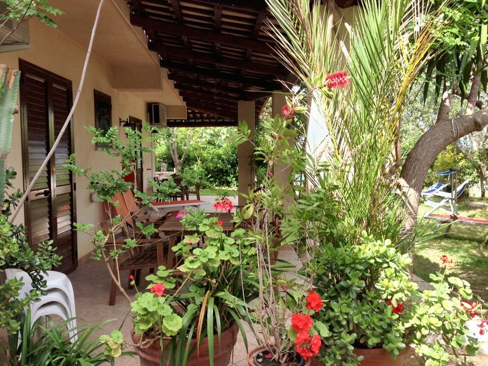 Terrace