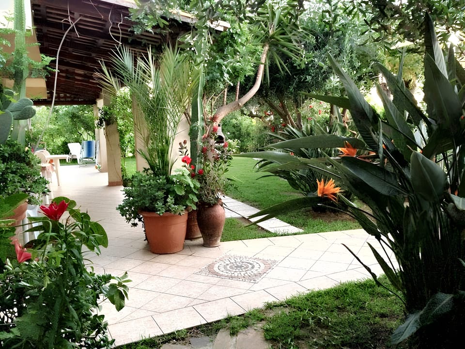 Garden