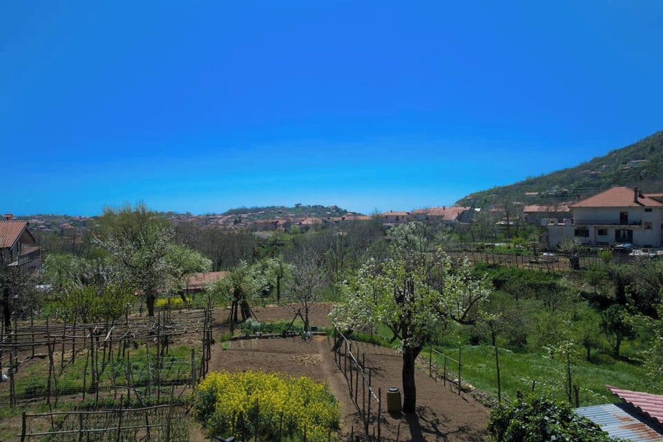 Areal view