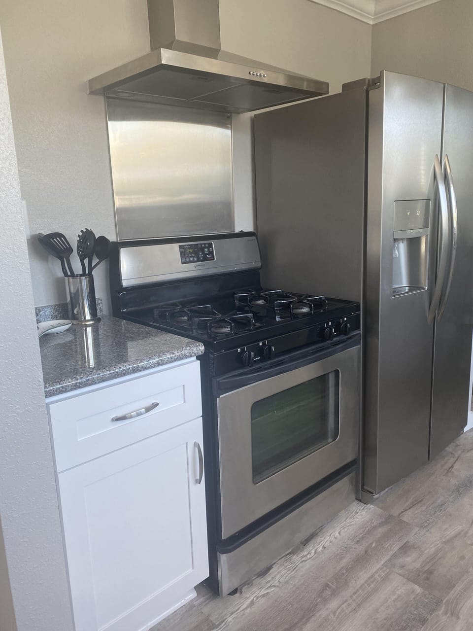 Gas stove and double fridge with ice/water in door
