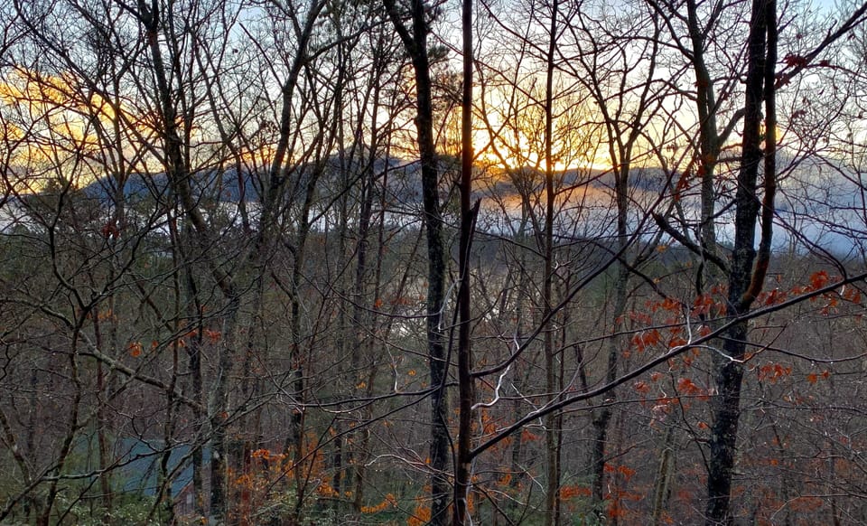 View from back porch in December. 
