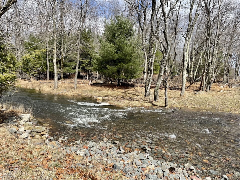 There’s a creek on our property!