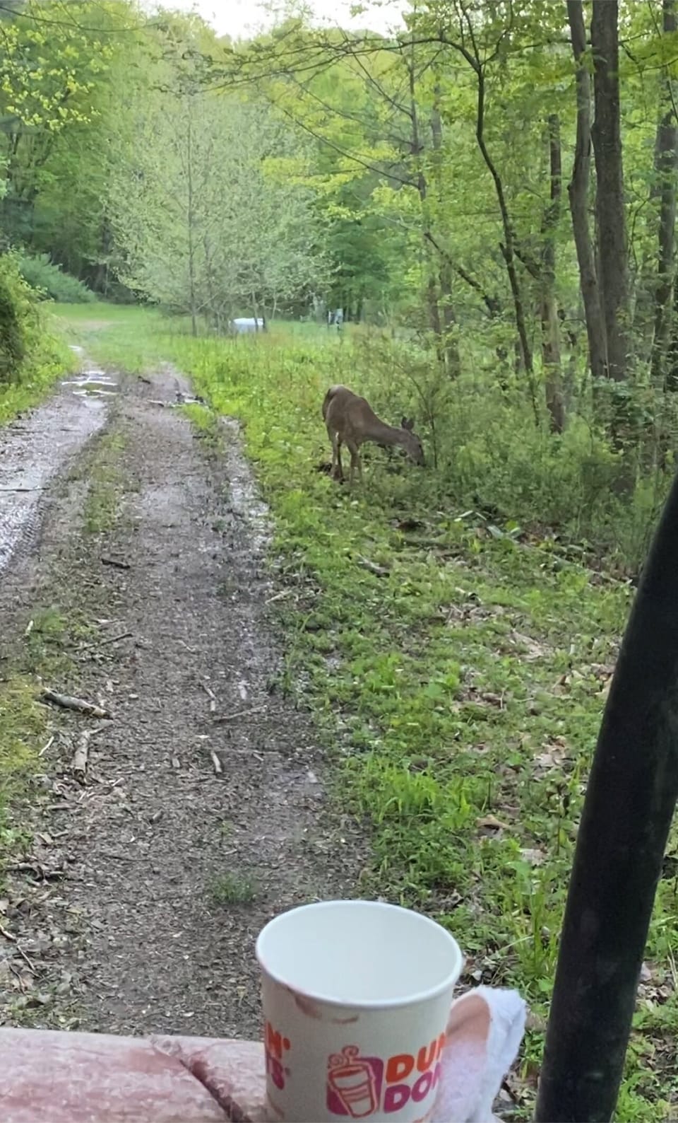 Take a hike on our trails throughout the 70 acres of private property.
