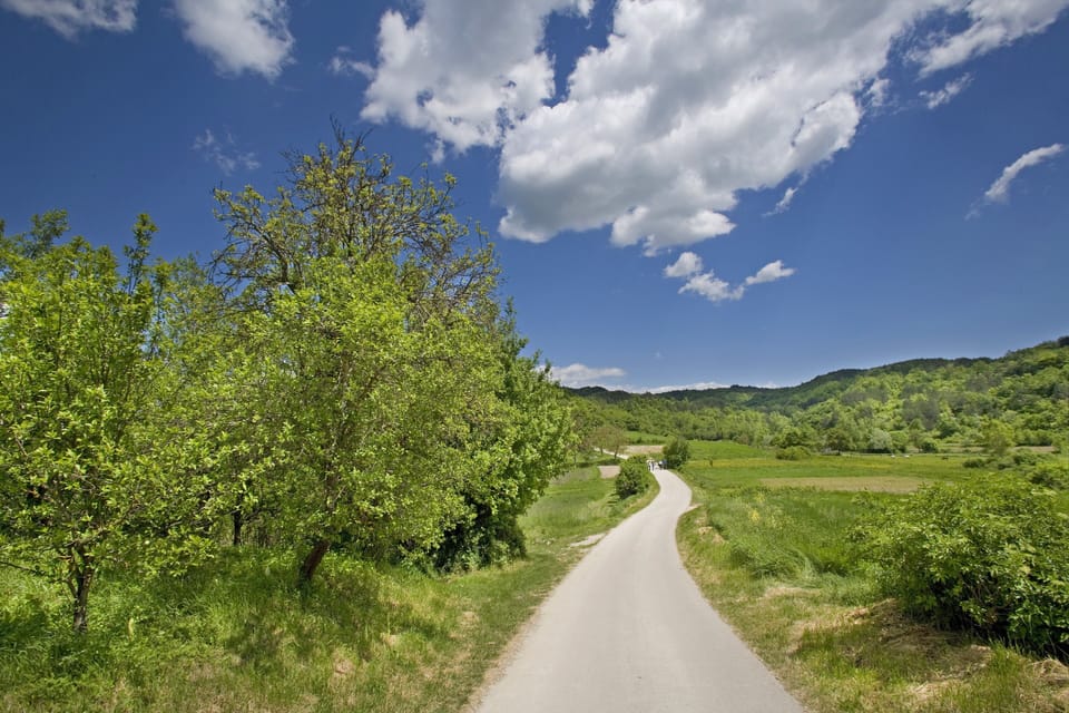 Green Istria
