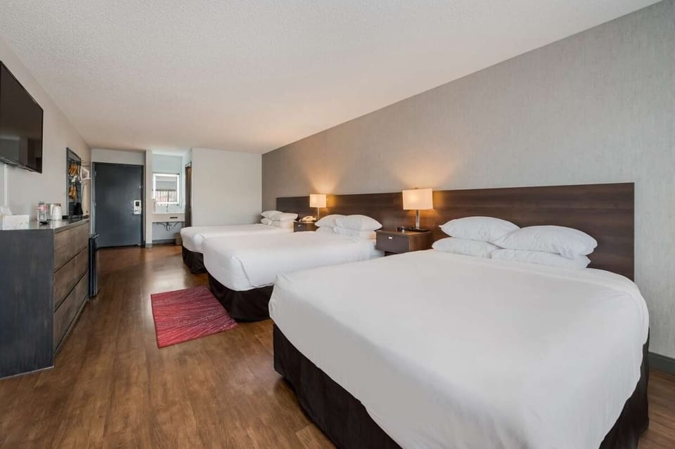 Unwind in a spacious room with crisp linens and warm lighting