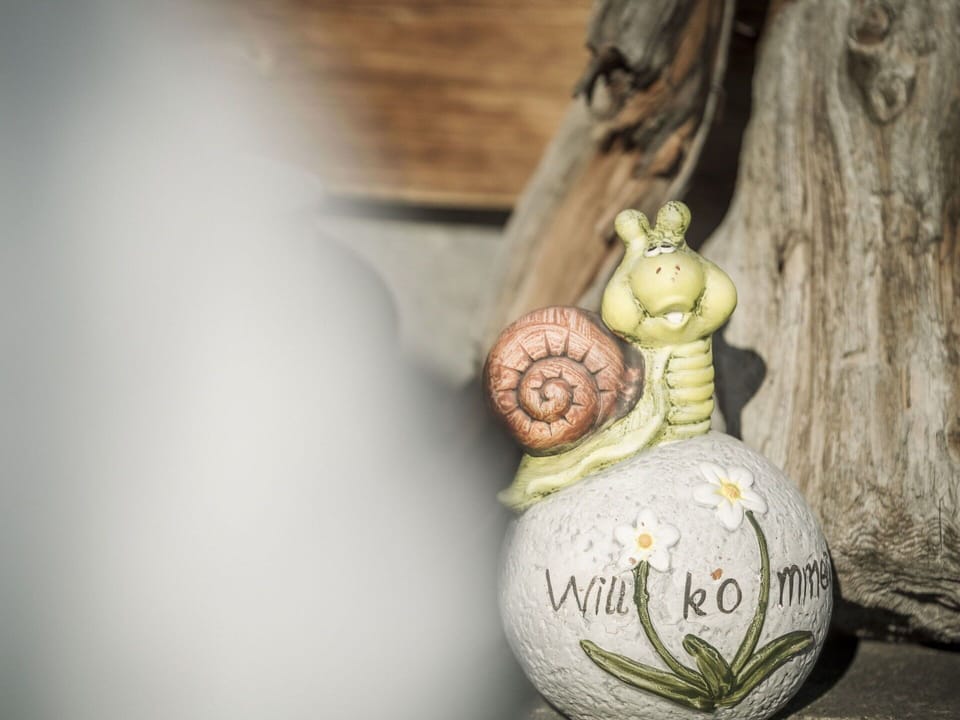 Wood, Plant, Twig, Serveware, Grass, Trunk, Metal