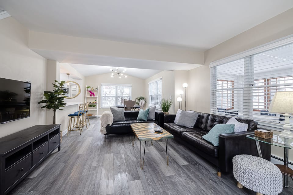 Living room with couch, Roku TV, Twin daybed with trundle (2 twin beds) 