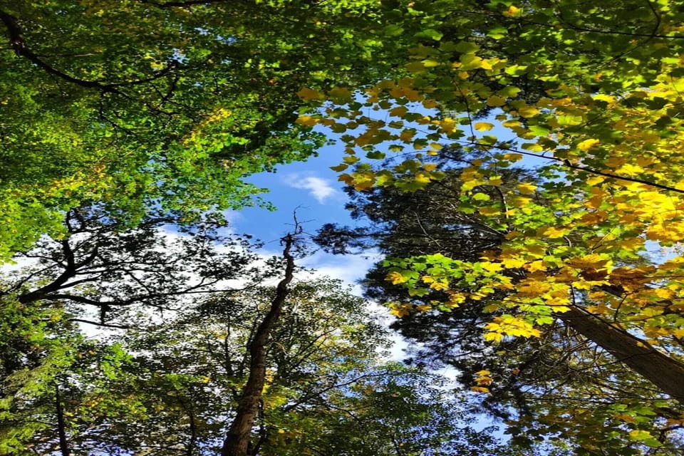 Surroundings [summer] (1-5 km)