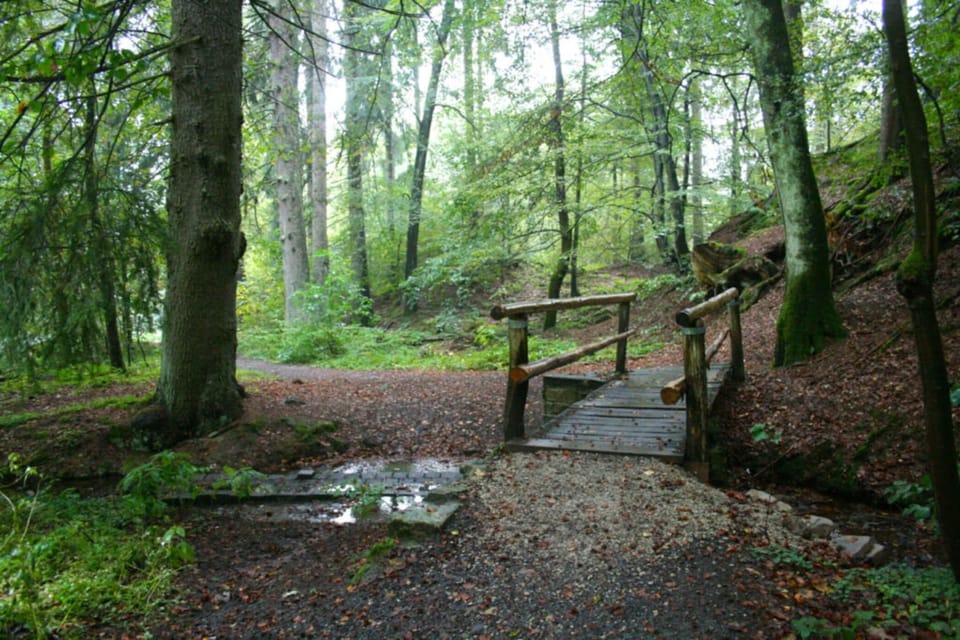 Surroundings [summer] (1-5 km)