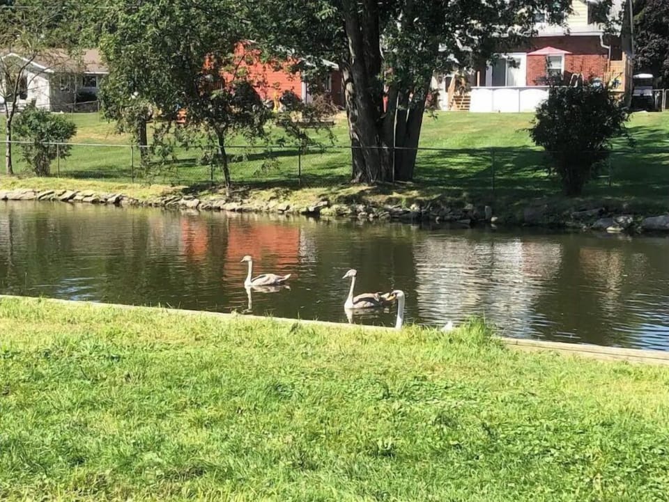 Kayak from the back yard! (We provide the kayaks)