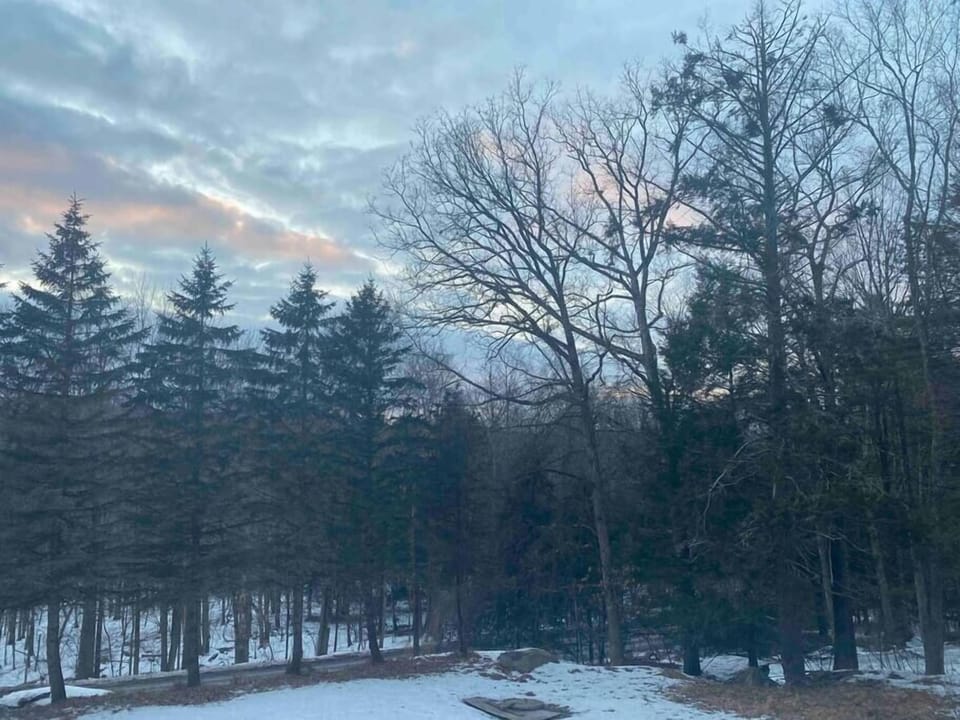 Beautiful winter scenery from the front of the house