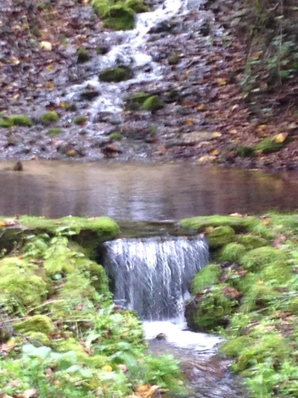 One of the fresh water springs and waterfalls you'll see at Norskedalen.