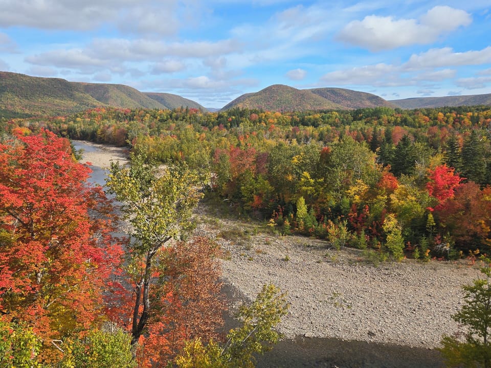 Margaree River