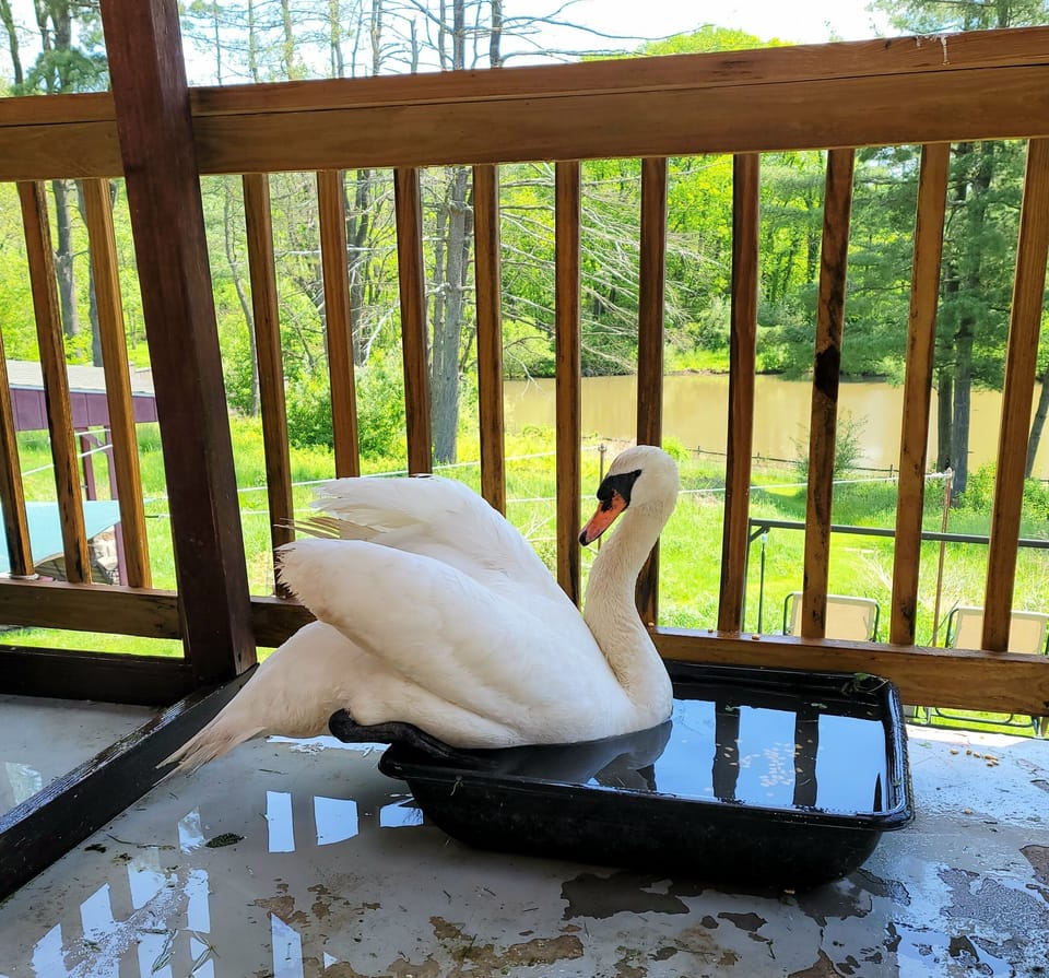 View from property