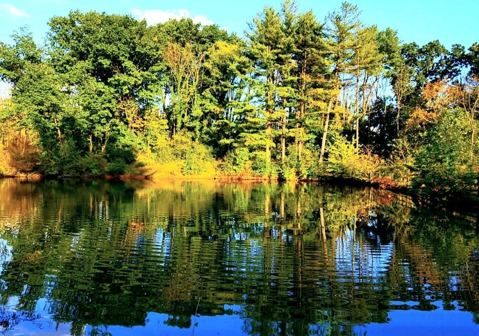 Lake