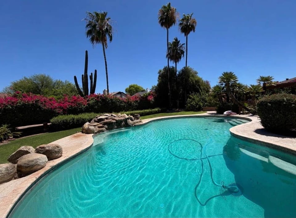 Oasis Pool
