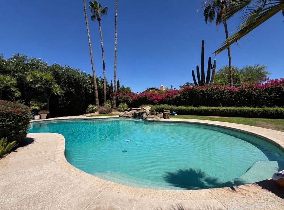 Oasis Pool 
