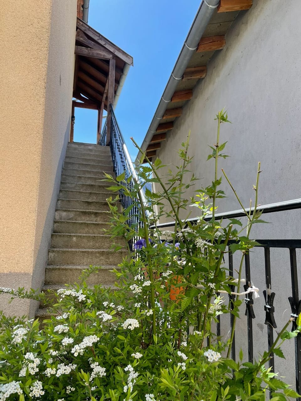 Exterior detail