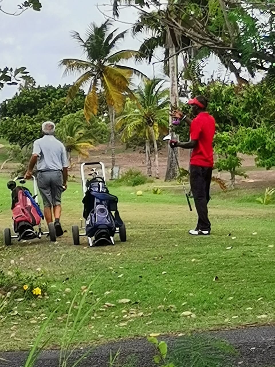 Golf