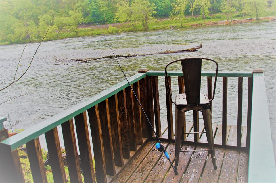 Fish right from the deck