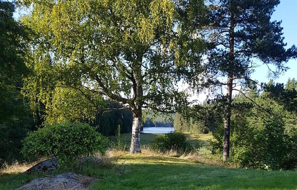 outside