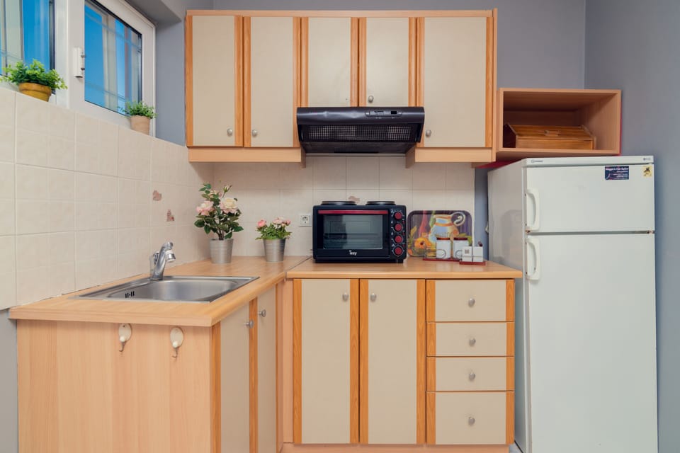 Avouris Apartment 1