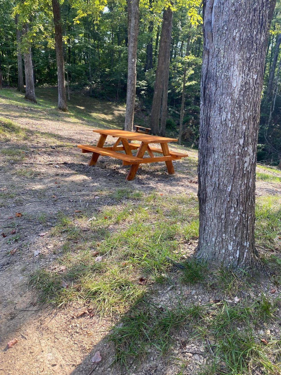 Picnic, have a great time