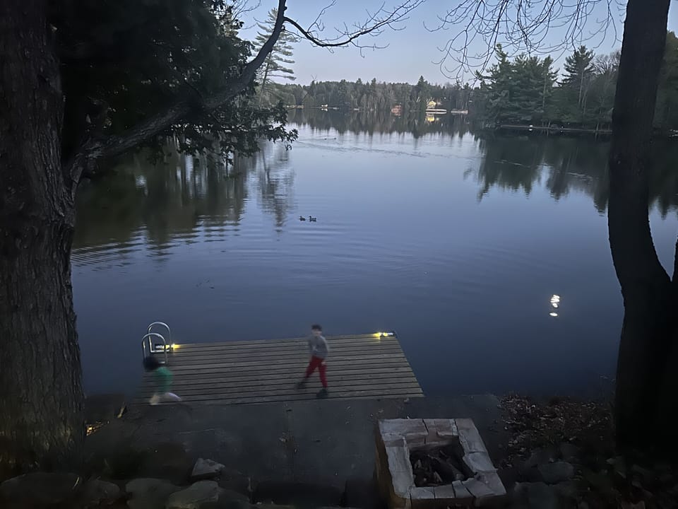 Evening splendor with ducks