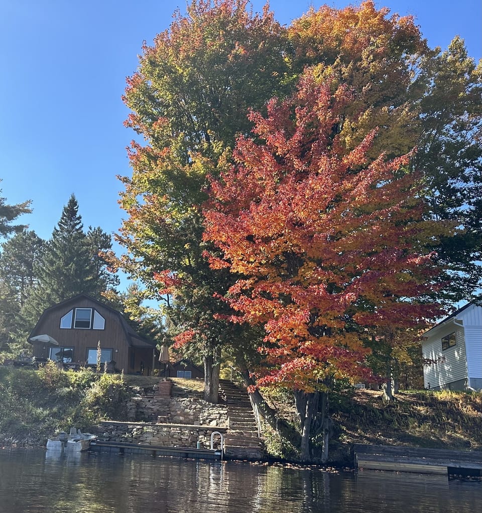 View of house  & dock from water