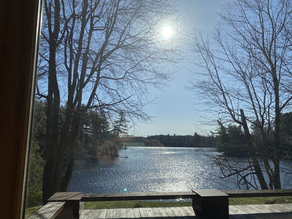 View from patio