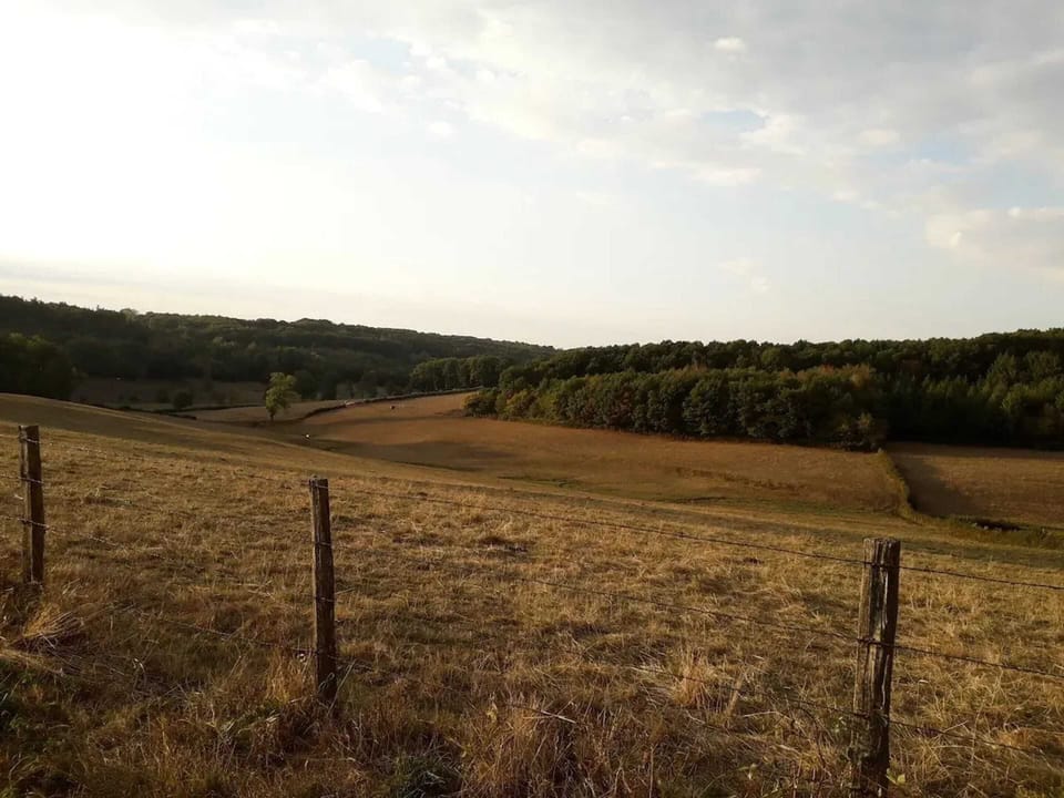Areal view