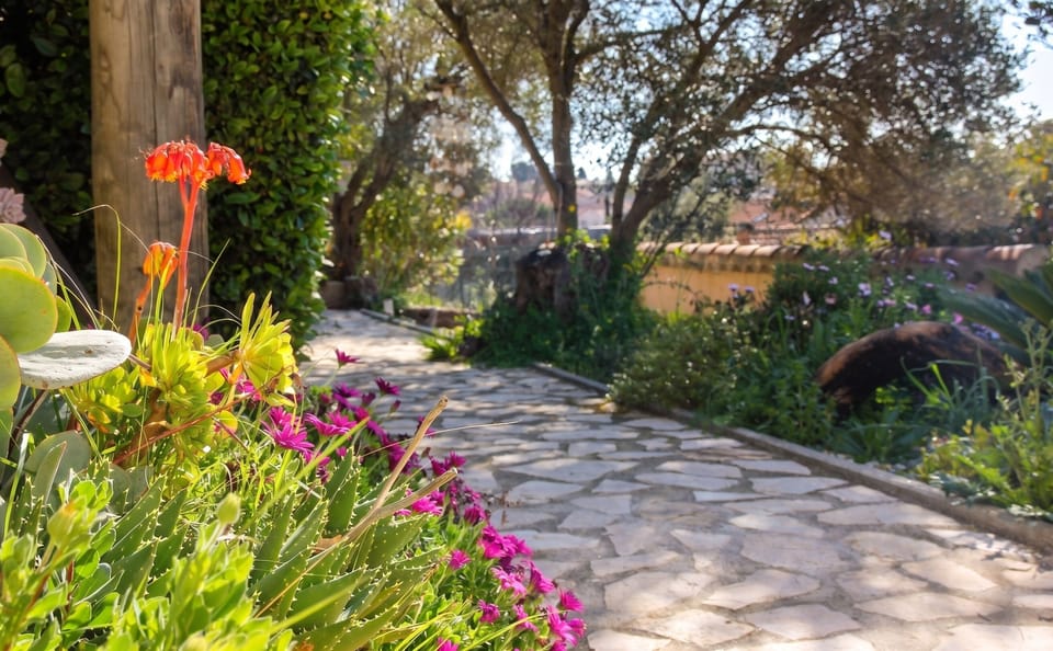 Garden view