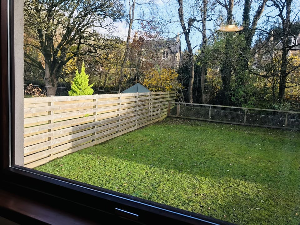 Back garden