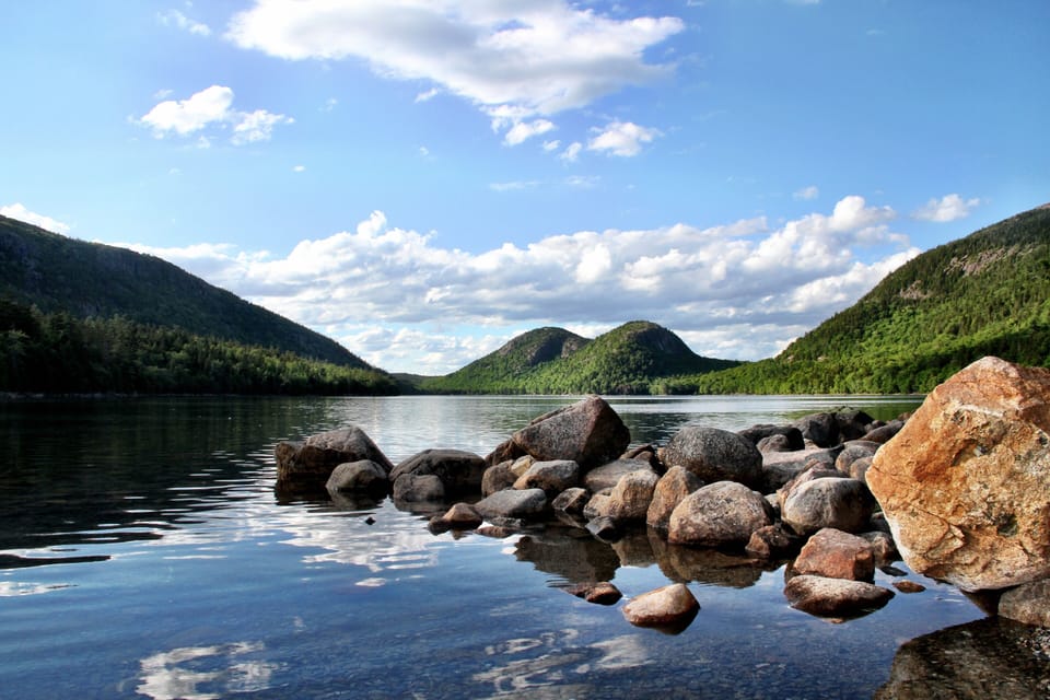 Bubble Pond