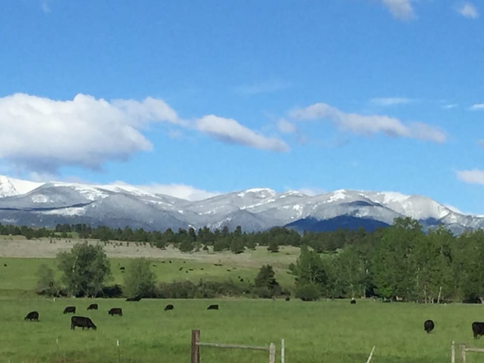 Beartooth Mountains