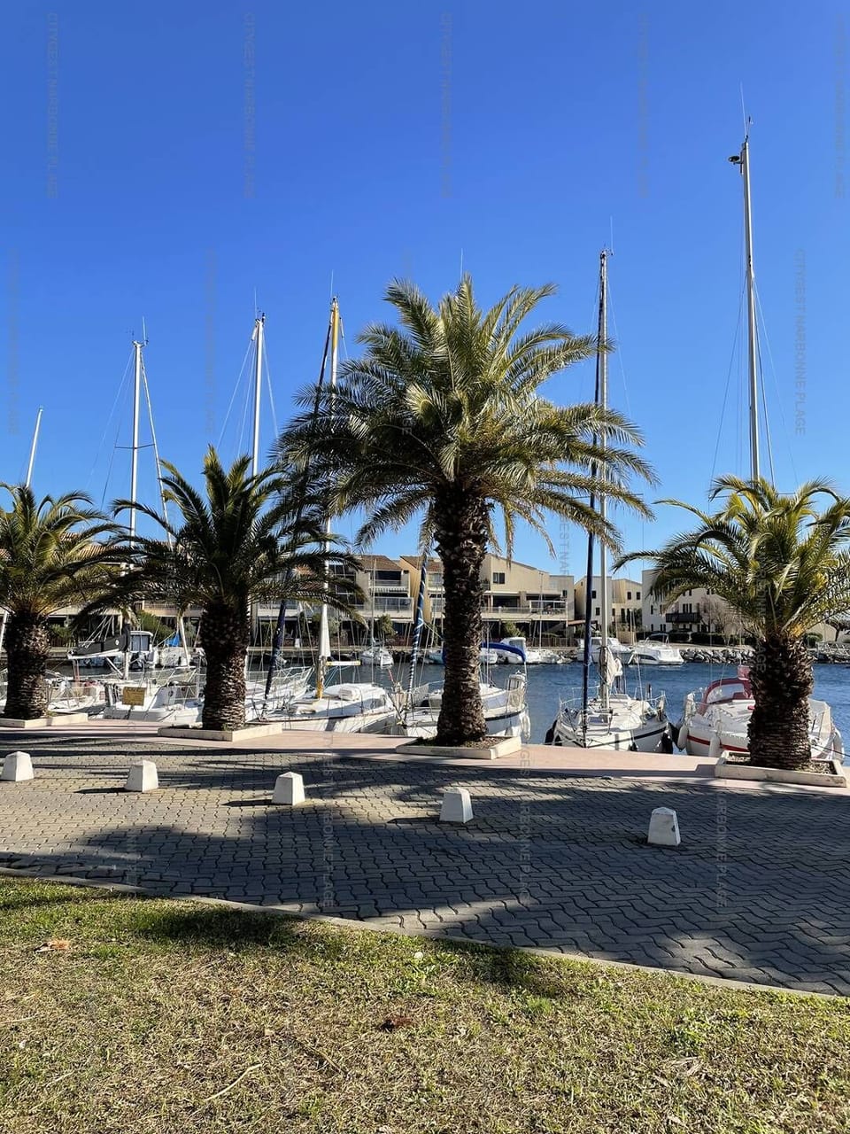 Marina
