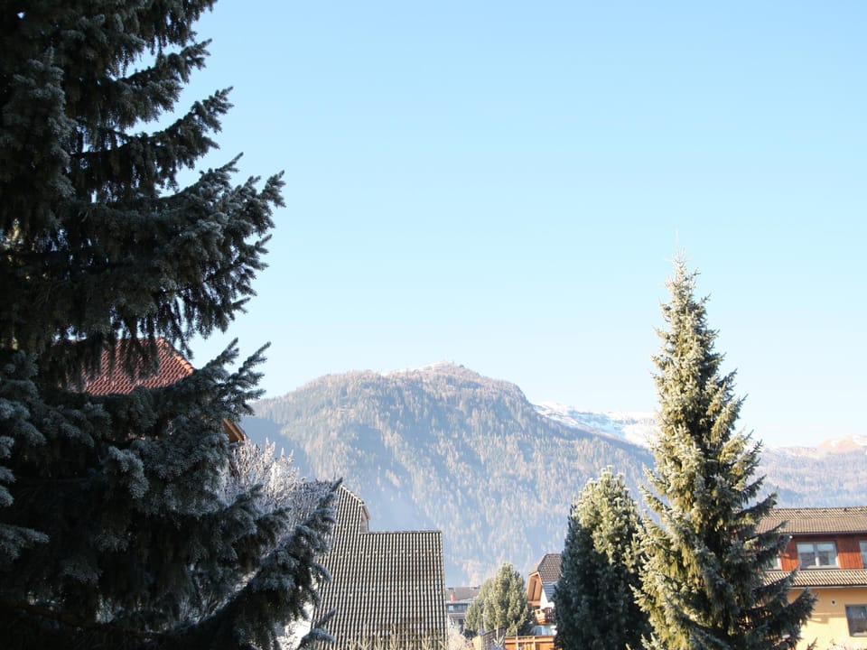 View from Holiday Home [summer]