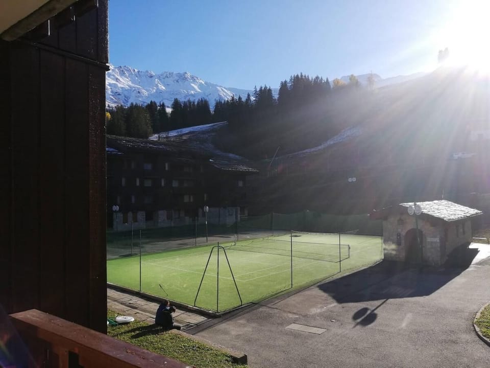 Sport court