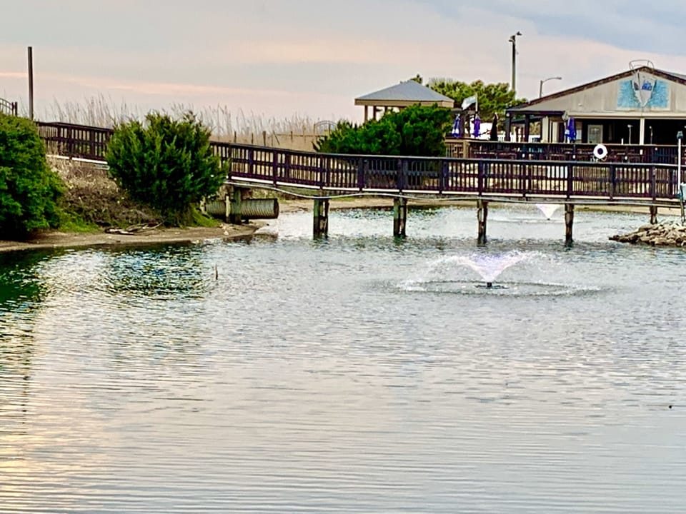 Enjoy walks on MBR property - 33 acres with much beauty to see.
