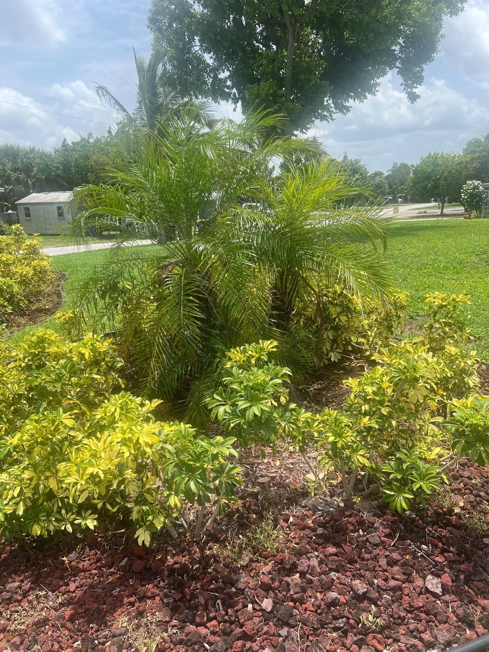Property grounds